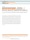 Scholarly article on topic 'Neuronal activity regulates remyelination via glutamate signalling to oligodendrocyte progenitors'