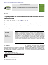 Scholarly article on topic 'Nanomaterials for renewable hydrogen production, storage and utilization'
