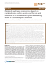 Scholarly article on topic 'Metabolic pathway engineering based on metabolomics confers acetic and formic acid tolerance to a recombinant xylose-fermenting strain of Saccharomyces cerevisiae'