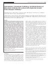 Scholarly article on topic 'Internalization, Intracellular Trafficking, Biodistribution of Monoclonal Antibody 806: A Novel Anti-Epidermal Growth Factor Receptor Antibody'