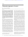 Scholarly article on topic 'Chromatin signatures of cancer'