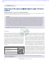 Scholarly article on topic 'Cavernoma of the septum pellucidum in the region of foramen of Monro'