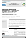 Scholarly article on topic 'Biofabrication, characterization and antibacterial efficacy of extracellular silver nanoparticles using novel fungal strain of Penicillium atramentosum KM'