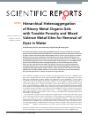Scholarly article on topic 'Hierarchical Heteroaggregation of Binary Metal-Organic Gels with Tunable Porosity and Mixed Valence Metal Sites for Removal of Dyes in Water'