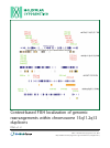 Scholarly article on topic 'Context-based FISH localization of genomic rearrangements within chromosome 15q11.2q13 duplicons'