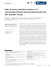 Scholarly article on topic 'Role of stress-inducible protein-1 in recruitment of bone marrow derived cells into the ischemic brains'