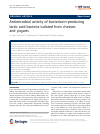 Scholarly article on topic 'Antimicrobial activity of bacteriocin-producing lactic acid bacteria isolated from cheeses and yogurts'