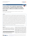 Scholarly article on topic 'In vitro and in vivo probiotic assessment of Leuconostoc mesenteroides P45 isolated from pulque, a Mexican traditional alcoholic beverage'
