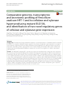 Scholarly article on topic 'Comparative genomic, transcriptomic and secretomic profiling of Penicillium oxalicum HP7-1 and its cellulase and xylanase hyper-producing mutant EU2106, and identification of two novel regulatory genes of cellulase and xylanase gene expression'