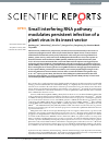 Scholarly article on topic 'Small interfering RNA pathway modulates persistent infection of a plant virus in its insect vector'