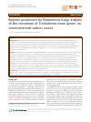 Scholarly article on topic 'Enzyme production by filamentous fungi: analysis of the secretome of Trichoderma reesei grown on unconventional carbon source'
