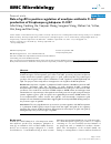 Scholarly article on topic 'Role of sgcR3 in positive regulation of enediyne antibiotic C-1027 production of Streptomyces globisporus C-1027'