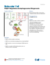 Scholarly article on topic 'PI(5)P Regulates Autophagosome Biogenesis'