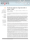 Scholarly article on topic 'Producing aglycons of ginsenosides in bakers' yeast'