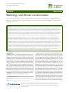 Scholarly article on topic 'Bioenergy and African transformation'