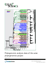 Scholarly article on topic 'Phylogenomic analyses data of the avian phylogenomics project'