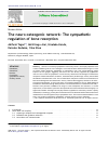 Scholarly article on topic 'The neuro-osteogenic network: The sympathetic regulation of bone resorption'