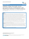 Scholarly article on topic 'Hydrolysis of Agave fourcroydes Lemaire (henequen) leaf juice and fermentation with Kluyveromyces marxianus for ethanol production'