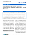 Scholarly article on topic 'Features of wild-type human SOD1 limit interactions with misfolded aggregates of mouse G86R Sod1'