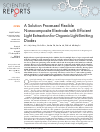 Scholarly article on topic 'A Solution Processed Flexible Nanocomposite Electrode with Efficient Light Extraction for Organic Light Emitting Diodes'