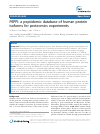 Scholarly article on topic 'PEPPI: a peptidomic database of human protein isoforms for proteomics experiments'