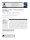 Scholarly article on topic 'Carbonatites in China: A review for genesis and mineralization'