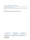 Scholarly article on topic 'Microbial Fuel Cells, A Current Review'