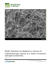 Scholarly article on topic 'Biofilm formation by designed co-cultures of Caldicellulosiruptor species as a means to improve hydrogen productivity'