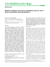 Scholarly article on topic 'Biofilm formation by enteric pathogens and its role in plant colonization and persistence'