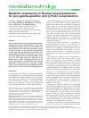 Scholarly article on topic ' Metabolic engineering of B acillus amyloliquefaciens for poly-gamma-glutamic acid (γ-PGA) overproduction '