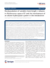 Scholarly article on topic 'Biodegradation of variable-chain-length n-alkanes in Rhodococcus opacus R7 and the involvement of an alkane hydroxylase system in the metabolism'