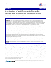 Scholarly article on topic 'Investigation of volatile organic biomarkers derived from Plasmodium falciparum in vitro'