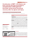 Scholarly article on topic 'Combination of NEP 1-40 infusion and bone marrow-derived neurospheres transplantation inhibit glial scar formation and promote functional recovery after rat spinal cord injury'