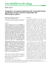 Scholarly article on topic ' Production of 2-ketoisocaproate with C orynebacterium glutamicum strains devoid of plasmids and heterologous genes '