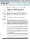 Scholarly article on topic 'Analysis of horse genomes provides insight into the diversification and adaptive evolution of karyotype'
