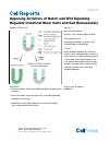 Scholarly article on topic 'Opposing Activities of Notch and Wnt Signaling Regulate Intestinal Stem Cells and Gut Homeostasis'