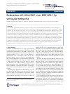 Scholarly article on topic 'Evaluation of H.264/AVC over IEEE 802.11p vehicular networks'