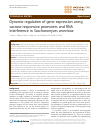 Scholarly article on topic 'Dynamic regulation of gene expression using sucrose responsive promoters and RNA interference in Saccharomyces cerevisiae'