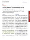 Scholarly article on topic 'Driver mutations of cancer epigenomes'