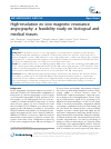 Scholarly article on topic 'High-resolution ex vivo magnetic resonance angiography: a feasibility study on biological and medical tissues'