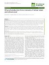 Scholarly article on topic 'Ethanol production from mixtures of wheat straw and wheat meal'