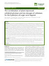 Scholarly article on topic 'The combination of plant-expressed cellobiohydrolase and low dosages of cellulases for the hydrolysis of sugar cane bagasse'