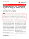 Scholarly article on topic 'Amino acid substitutions in the E2 glycoprotein of Sindbis-like virus XJ-160 confer the ability to undergo heparan sulfate-dependent infection of mouse embryonic fibroblasts'