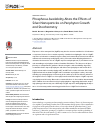 Scholarly article on topic 'Phosphorus Availability Alters the Effects of Silver Nanoparticles on Periphyton Growth and Stoichiometry'