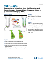 Scholarly article on topic 'Repression of Intestinal Stem Cell Function and Tumorigenesis through Direct Phosphorylation of β-Catenin and Yap by PKCζ'