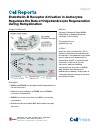 Scholarly article on topic 'Endothelin-B Receptor Activation in Astrocytes Regulates the Rate of Oligodendrocyte Regeneration during Remyelination'