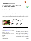 Scholarly article on topic 'Characterization of New Ent-kaurane Diterpenoids of Yunnan Arabica Coffee Beans'