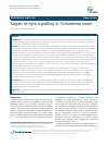 Scholarly article on topic 'Targets of light signalling in Trichoderma reesei'