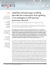 Scholarly article on topic 'Label-free cell phenotypic profiling decodes the composition and signaling of an endogenous ATP-sensitive potassium channel'