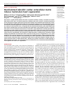 Scholarly article on topic 'Decellularized zebrafish cardiac extracellular matrix induces mammalian heart regeneration'